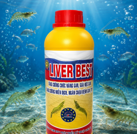 LIVER BEST