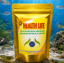 HEALTH LIFE