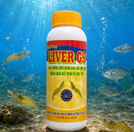 LIVER G9 