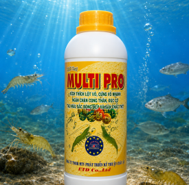 MULTI PRO