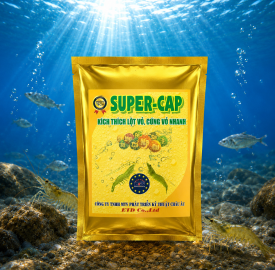 SUPER CAP