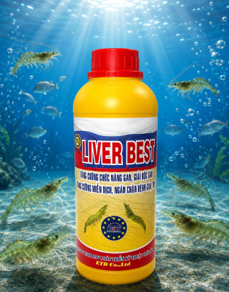 LIVER BEST