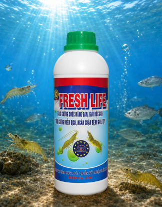 FRESH LIFE 