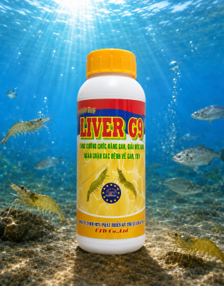 LIVER G9 